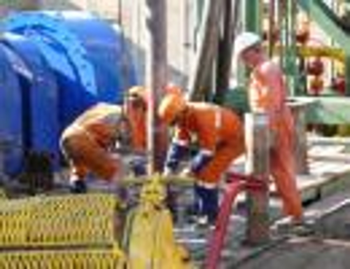 Założycielem Petrolinvestu był Ryszard Krauze, ongiś jeden z najbogatszych Polaków, którego spółka pociągnęła na dno