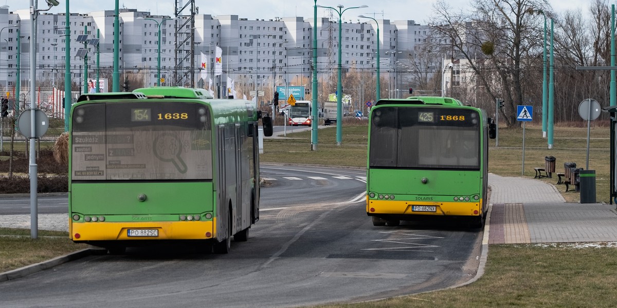 Spotted MPK Poznań. Zaskakujące nagranie z autobusu - szampan wylewa się