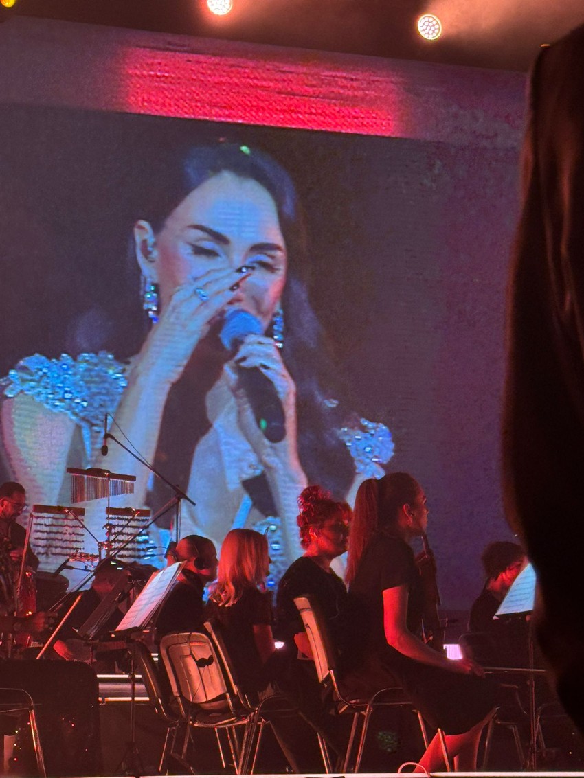 Emina Jahović plače na koncertu