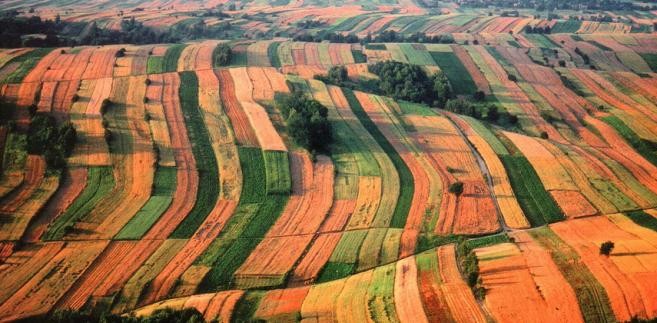 Roztocze – niezwykle malownicza część południowo- wschodniej Polski. Warto tutaj przyjechać do jednego z licznych parków krajobrazowych: Krasnobrodzkiego, Parku Krajobrazowego Puszczy Solskiej. Roztocze. Fot.flickr/overbreathing