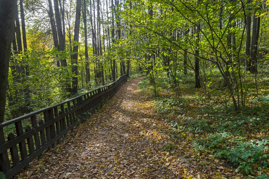 Bitsevsky Park w Moskwie - miejsce większości zbrodni Piczuszkina