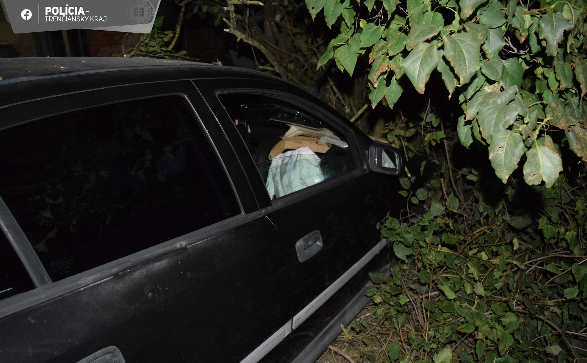 Vodič nechal auto po nehode pri Brezovej pod Bradlom zamknuté v kríkoch.