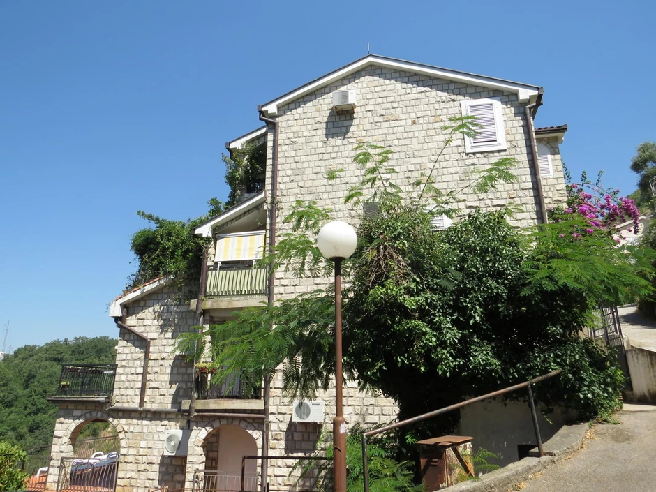 Vila Dragana Džajića