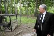 Jarosław Kaczyński obiecywał, że pomoże zwierzętom.