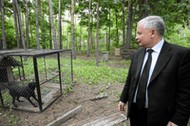 Jarosław Kaczyński obiecywał, że pomoże zwierzętom.