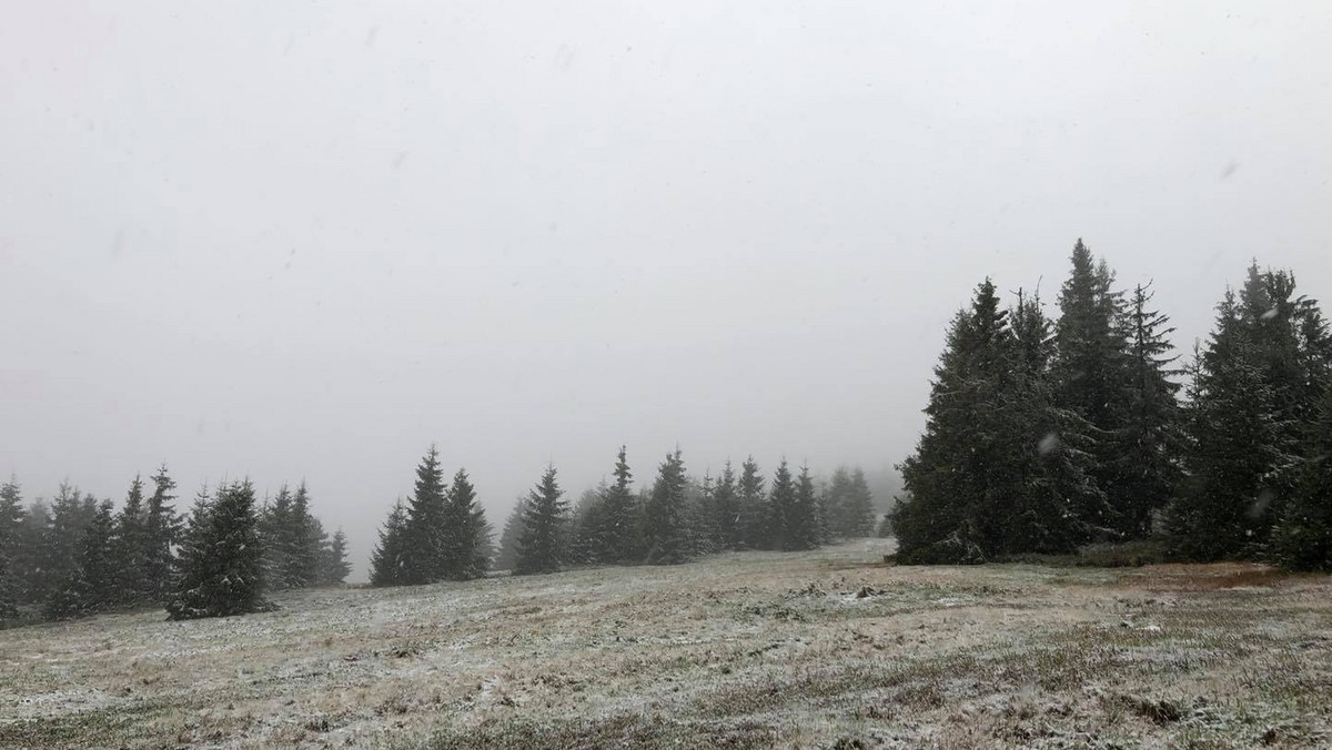 Beskidy: Pierwszy śnieg tej jesieni w rejonie Babiej Góry, Hali Lipowskiej, na Pilsku