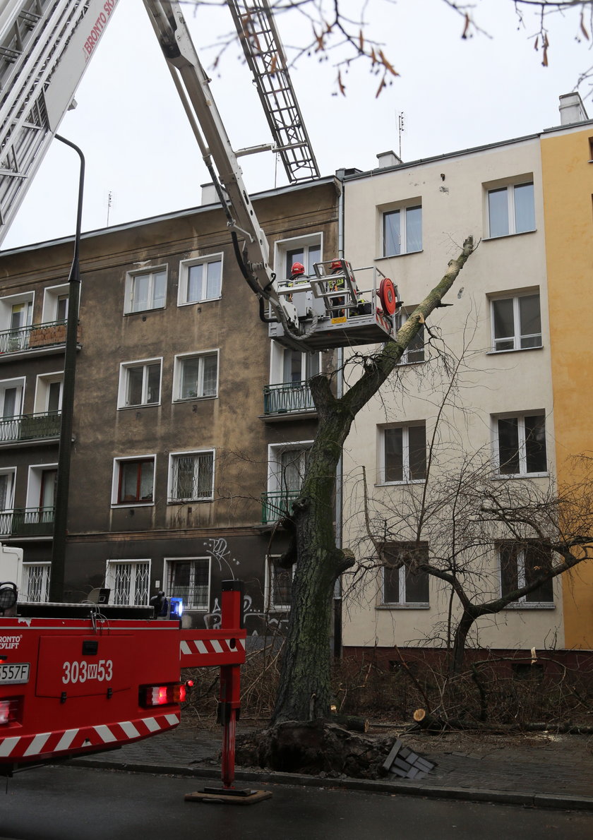 Drzewo wbiło się w blok. Potrzebna była interwencja strażaków.