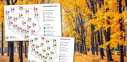 Będzie złota polska jesień! Wiemy, jak długo potrwa. Oto najnowsze prognozy IMGW