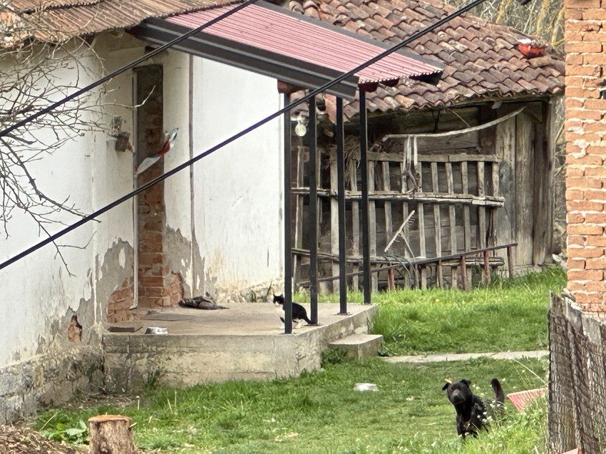 Kuća u kojoj se dogodilo ubistvo