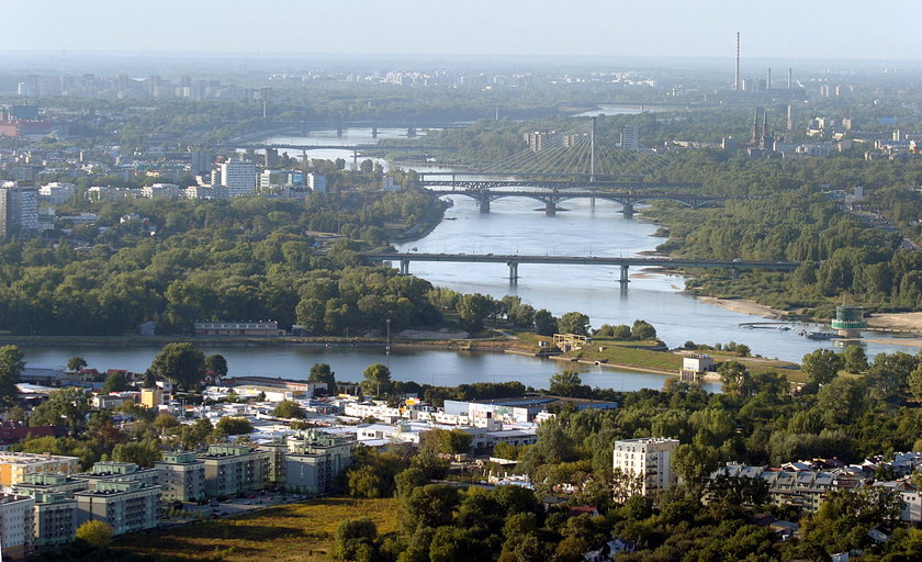 Dzięki PiS wyprzedziliśmy Amerykę!