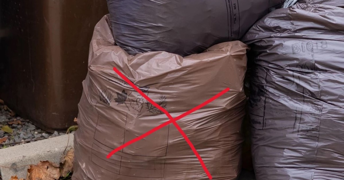 Od 1 kwietnia nie wyrzucisz już bioodpadów do brązowego worka. Części odpadów będziesz musiał pozbyć się sam, a za pojemniki zapłacisz