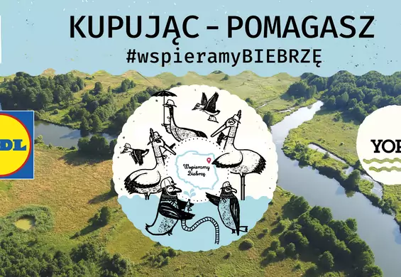 #WSPIERAMYBIEBRZĘ –Lidl Polska i YOPE łączą siły na rzecz Doliny Biebrzy