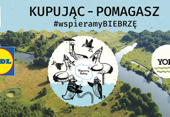 #WSPIERAMYBIEBRZĘ –Lidl Polska i YOPE łączą siły na rzecz Doliny Biebrzy