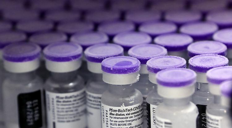 Újonnan érkezett Pfizer-BioNTech-vakcinák a Semmelweis Egyetem gyógyszertárában 2021. január 12-én