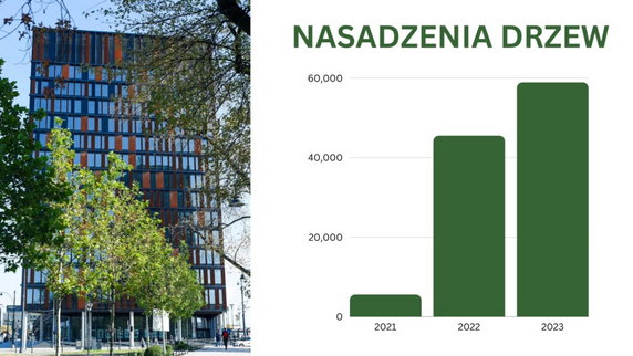 Zazielenianie Łodzi trwa. Tylko w 2023 roku przybędzie 60.000 drzew!