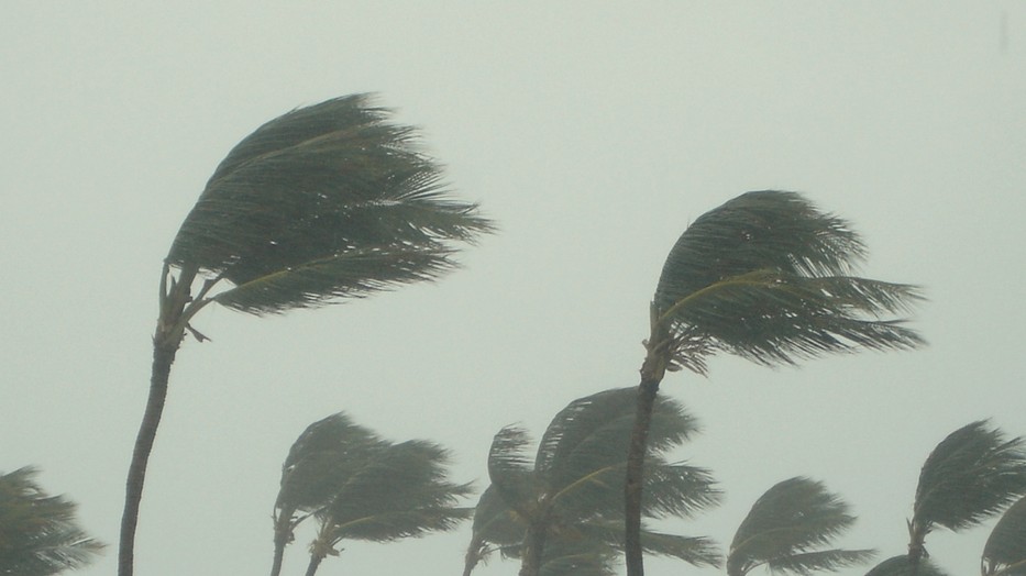 Pokoli erővel érkezik a Milton hurrikán, lesújtó fotók jöttek: reméljük, Gombos Edináék biztonságban vannak  fotó: Getty Images