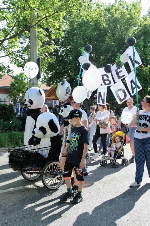 Parada Łazarska 2023 fot. Codzienny Poznań / S. Toroszewska