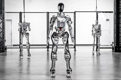 Ludzkie roboty nową gwiazdą AI. Startup wyceniony na miliardy ma wyjątkowe wsparcie
