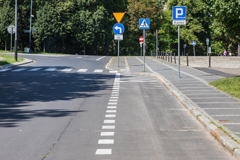 Wyrzucili kierowców z centrum i się cieszą