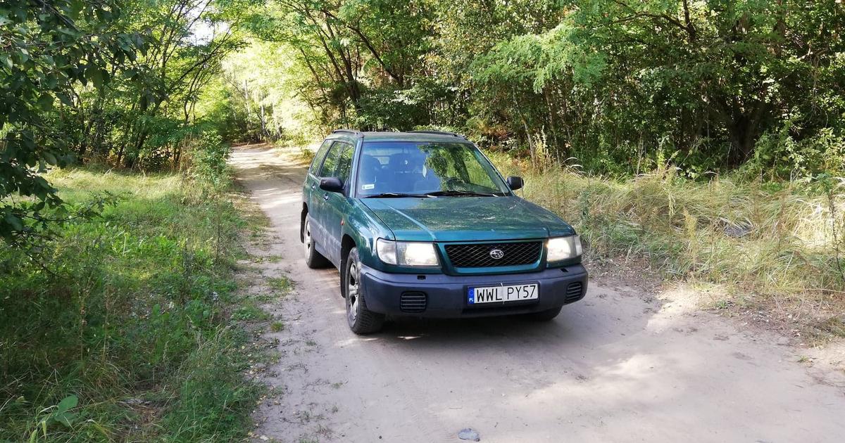  Do lasu na grzyby samochodem albo rowerem? Sprawdź, czy możesz wjechać, bo mandaty są solidne