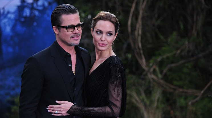 Brad Pittet és Angelina Jolie-t bíróság kötelezte provence-i kastélyuk világítástervezésének kifizetésére /Fotó: Instagram