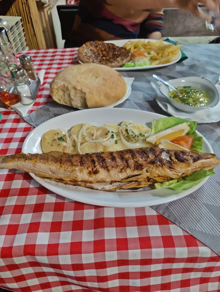 Pored vožnje brodićem, Jovan voli turistima da predloži da probaju smuđa i šarana u lokalnim kafanama