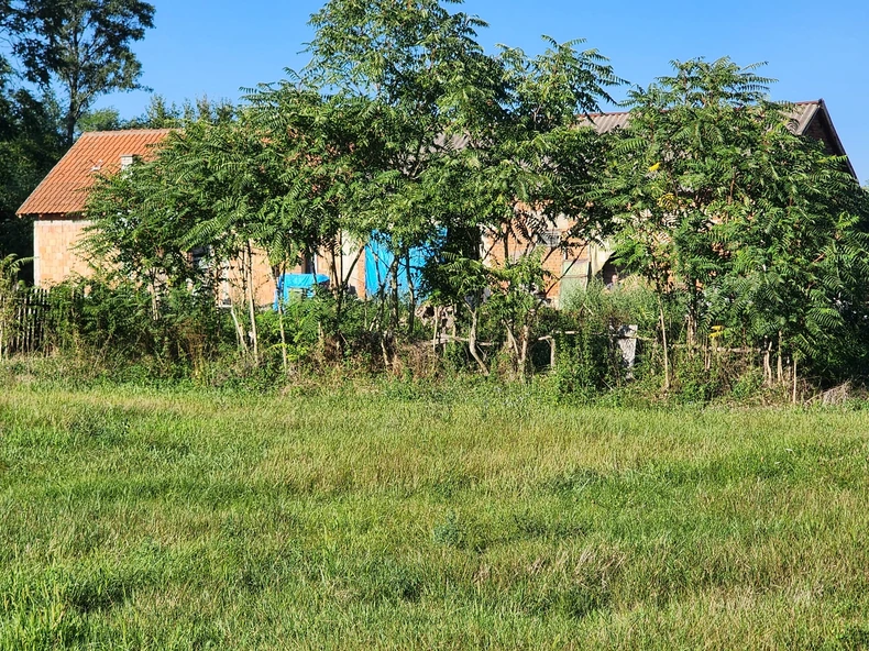 Kuća koju je zapalio osumnjičeni Srđan 
