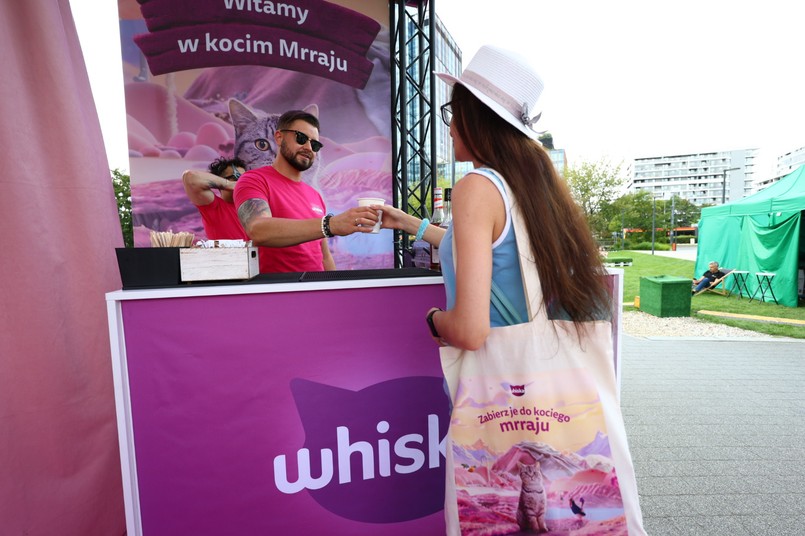 Kiedy kot mówi: „kocham Cię”. Co zdradzają jego gesty, mruczenie i osobowość?