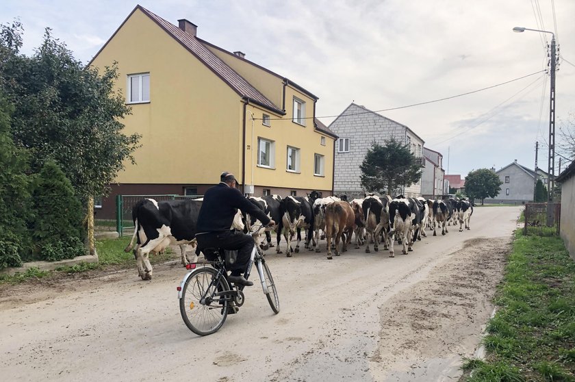 We wsi ktoś ukrywał Janusza F.?