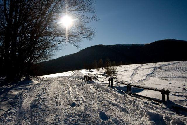 Galeria Polska - Bieszczady w zimowej szacie, obrazek 50