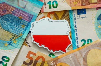 Wiceprezes NBP: Polska gospodarka wylądowała miękko