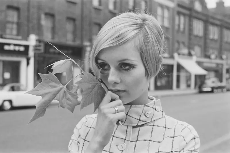 Twiggy