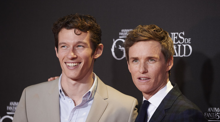 Callum Turner és Eddie Redmayne / Fotó: Northfoto