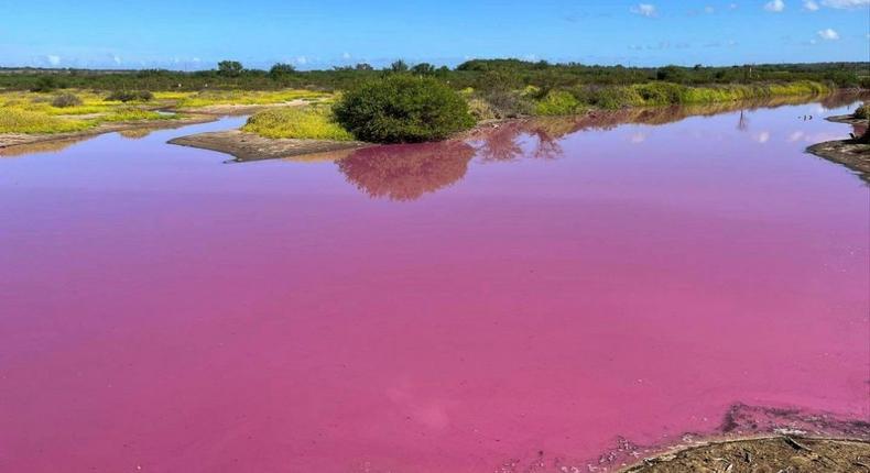 Cet-etang-a-Hawai-est-mysterieusement-devenu-rose-bubblegum-La