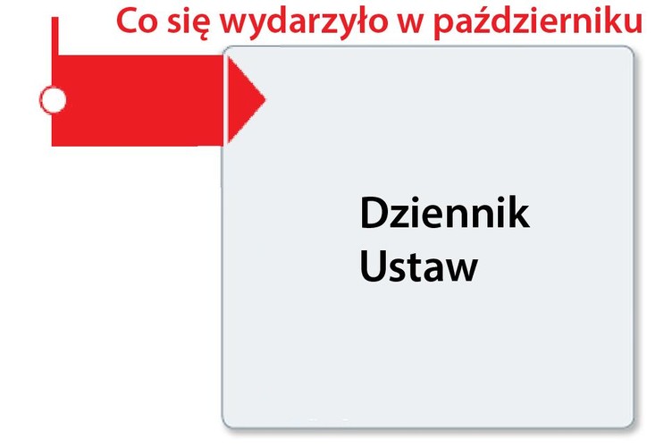 <b>Dziennik Ustaw</b>
<br>

<b style=