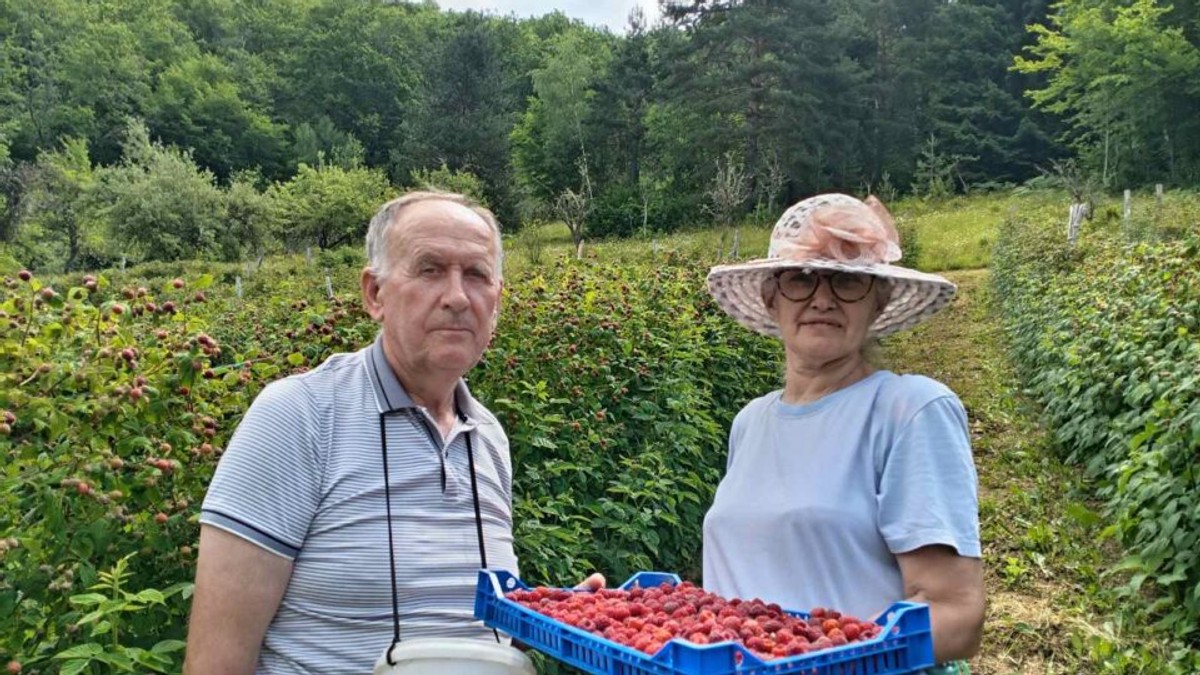 Maline