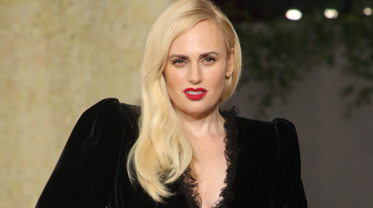 Rebel Wilson Disneylandben jegyezte el párját, majd utána kitiltották a parkból/ Fotó: Northfoto