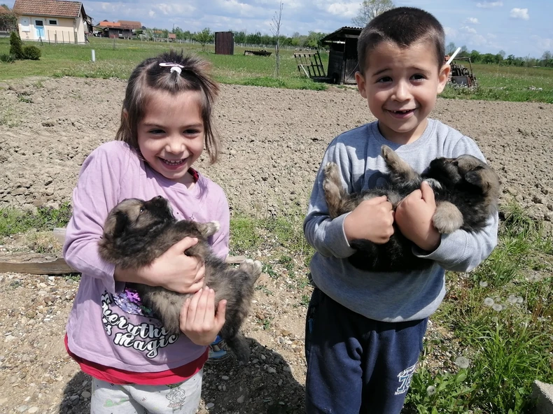 Nikola i Milica Misimović sa psima