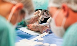 Mistrzostwa Polski w szyciu chirurgicznym. Studenci obronili tytuł sprzed roku