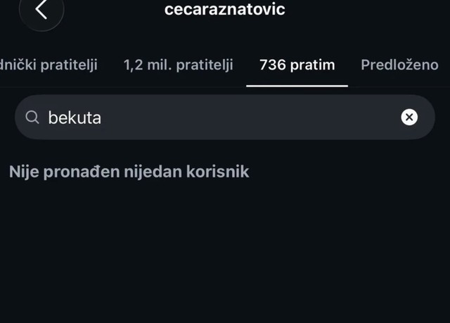 Ceca Ražnatović i Ana Bekuta se otpratile sa Instagrama