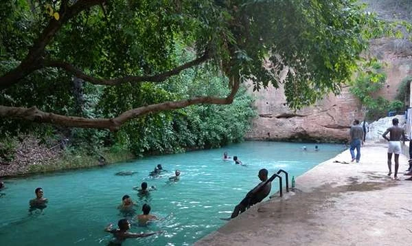 Yankari Game Reserve: All you need to know about planning a trip here | Pulse Nigeria