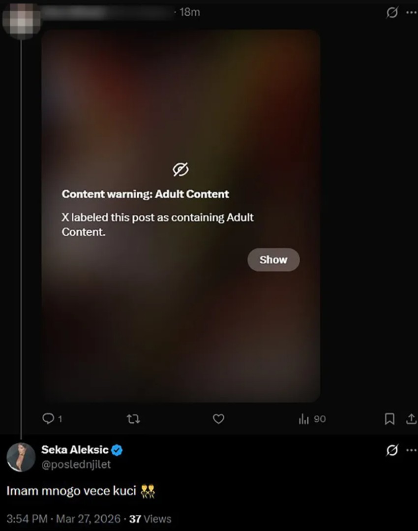 Objava Seke Aleksić