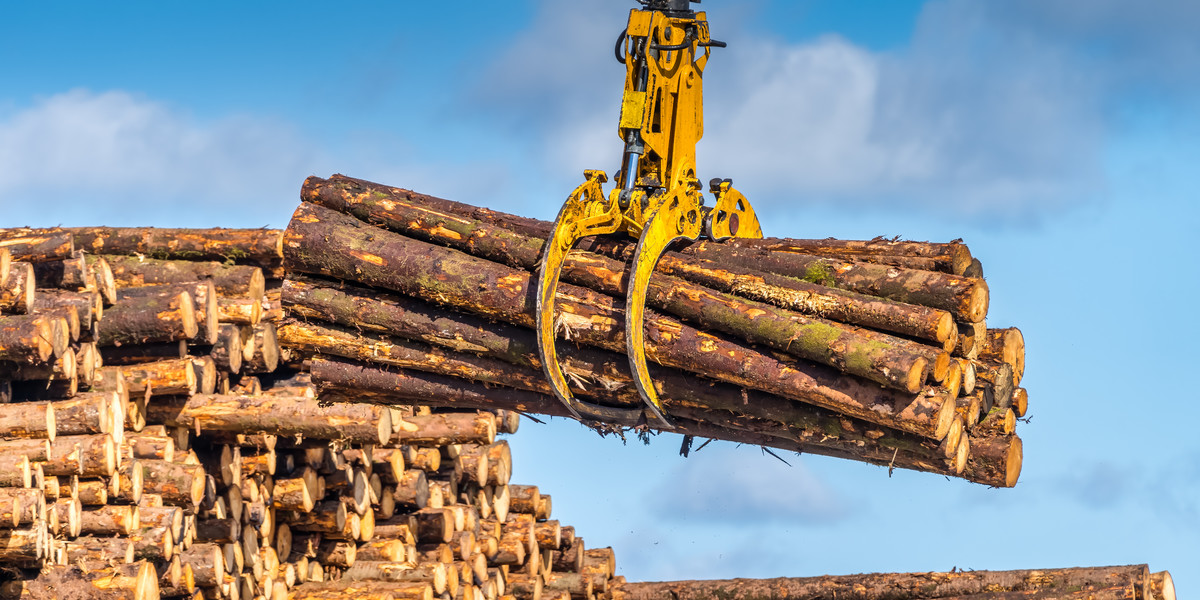 Ministerstwo Klimatu uważa, że wzrost cen drewna jest na poziomie zbliżonym do inflacji. 