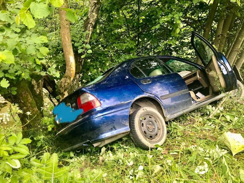 Wieźli osobówką kradzione cielę. Spowodowali wypadek i uciekli