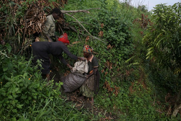 The Wider Image: A dying way of life for Congo's Pygmies