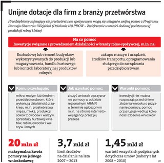 Awaria systemu, firmy bez dotacji z UE
