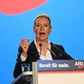 Alice Weidel