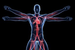Trudny quiz z biologii. 15/15 tylko dla mistrza