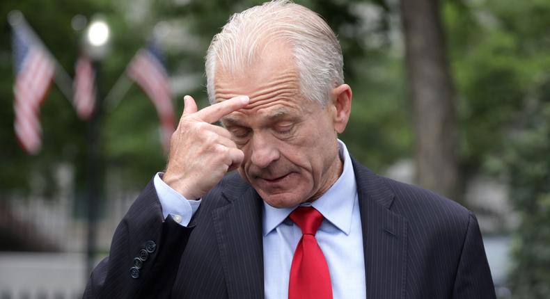 Peter Navarro helped work on trade policies and the US' pandemic response during his time in the Trump administration.