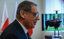 Szyszko na ratunek żubrom w Europie. 'Polska wie jak go chronić'